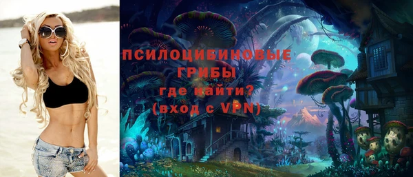 прущая мука Алзамай