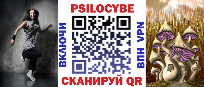 Галлюциногенные грибы Psilocybe  blacksprut ссылки  Рошаль 